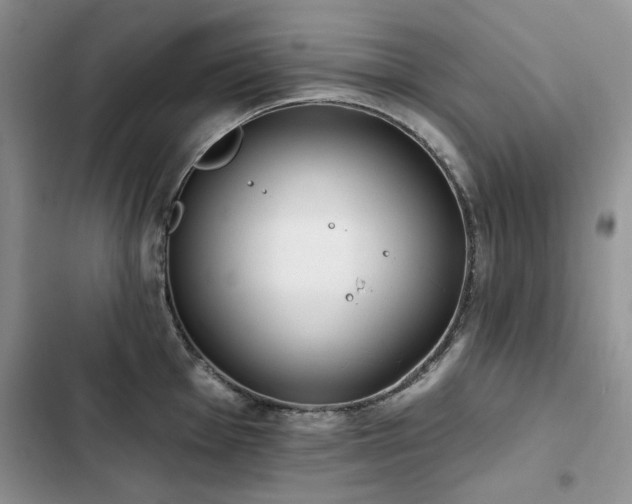 X0000103231001200808281426