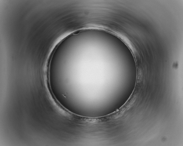 X0000103231003200808281426