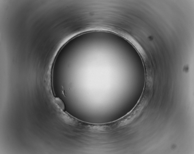 X0000103231004200808281426