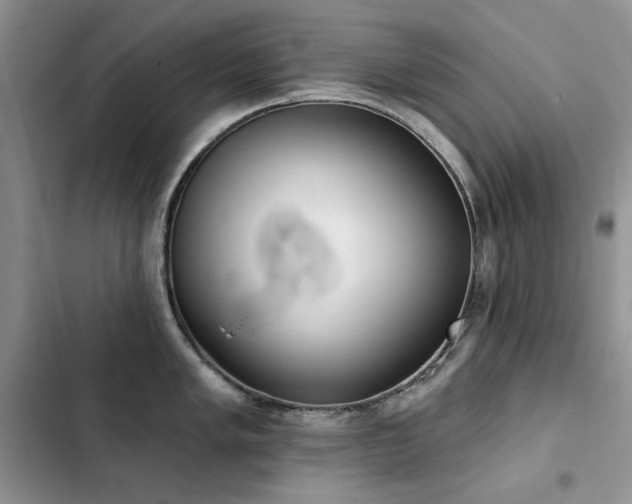 X0000103231005200808281426