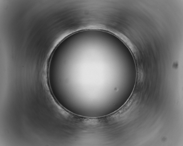 X0000103231006200808281426