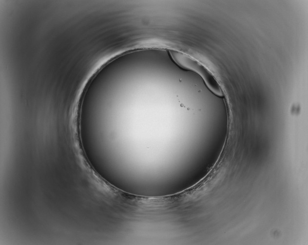 X0000103231008200808281426