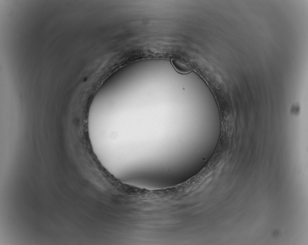 X0000103231009200808281425