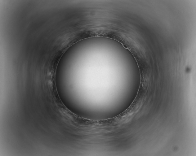 X0000103231010200808281425