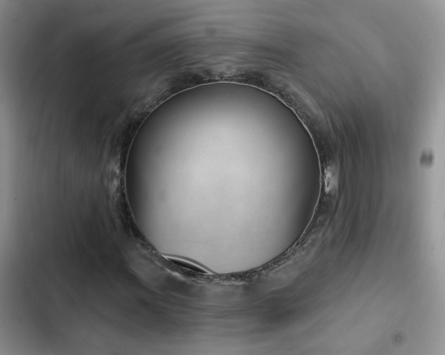 X0000103231011200808281425