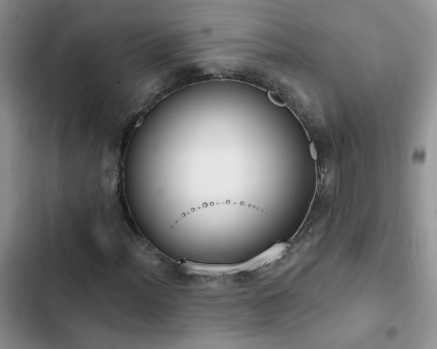 X0000103231012200808281425