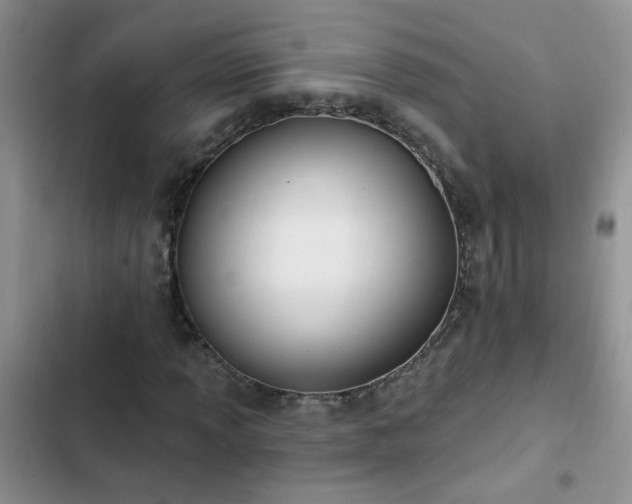 X0000103231013200808281426