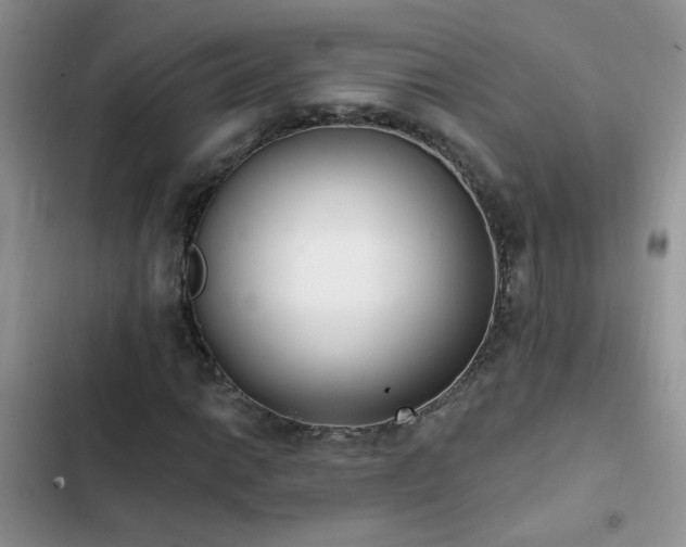 X0000103231014200808281426