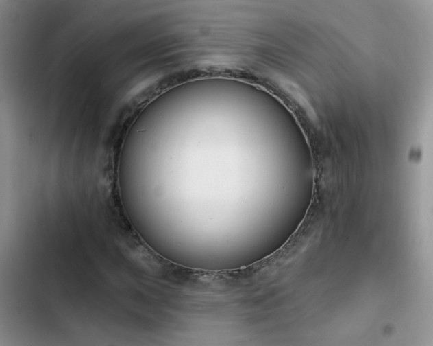 X0000103231015200808281426