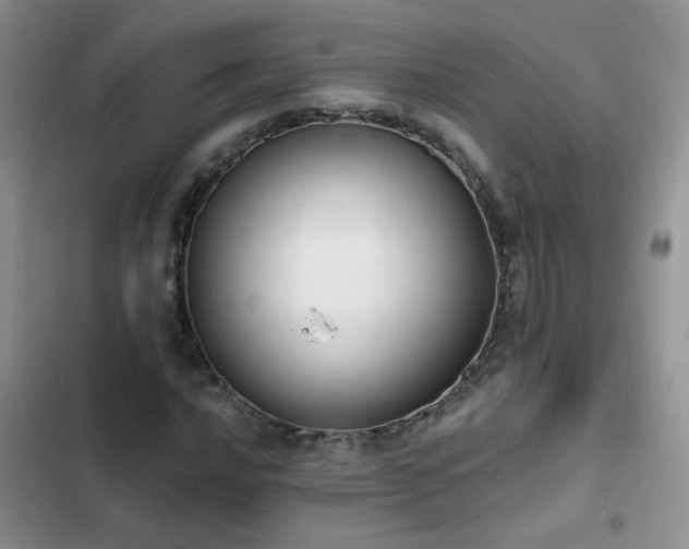X0000103231016200808281426