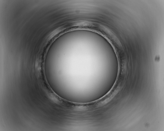 X0000103231017200808281426