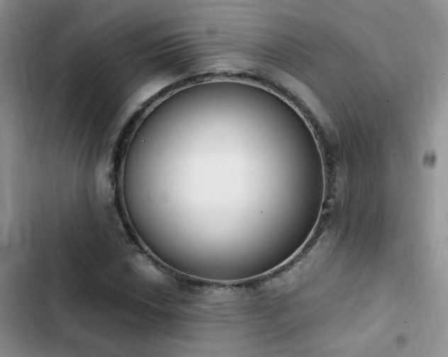 X0000103231018200808281426