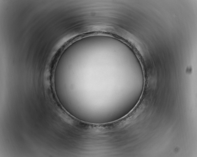 X0000103231019200808281426