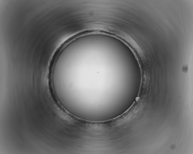 X0000103231020200808281426