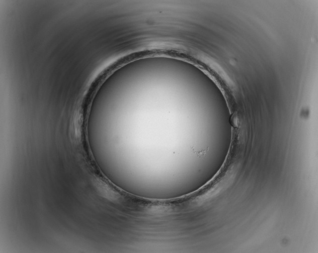 X0000103231021200808281426