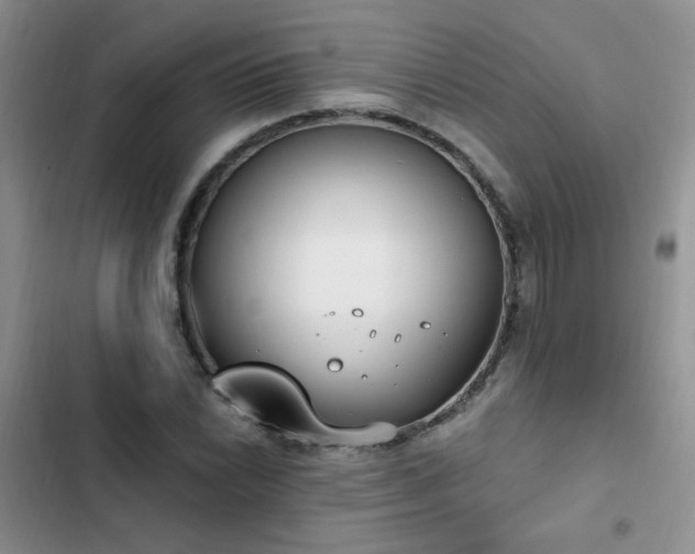 X0000103231022200808281426