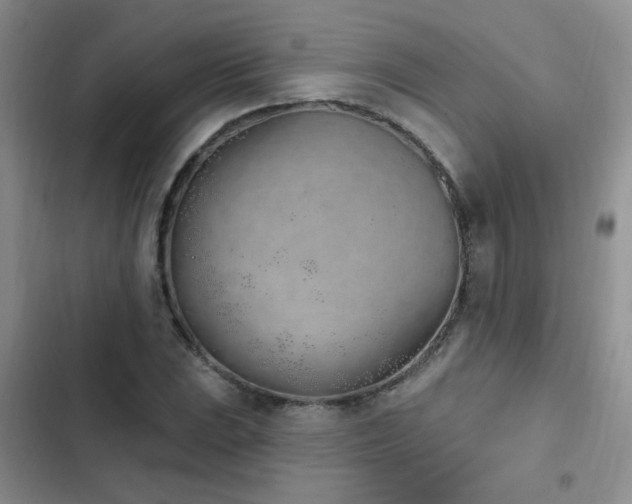 X0000103231023200808281426