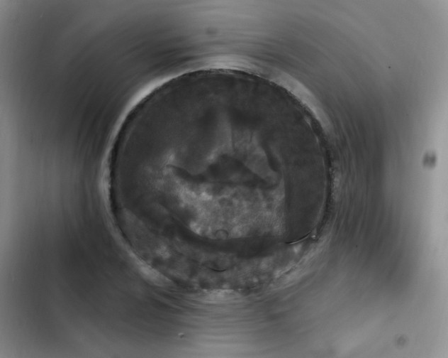 X0000103231024200808281426