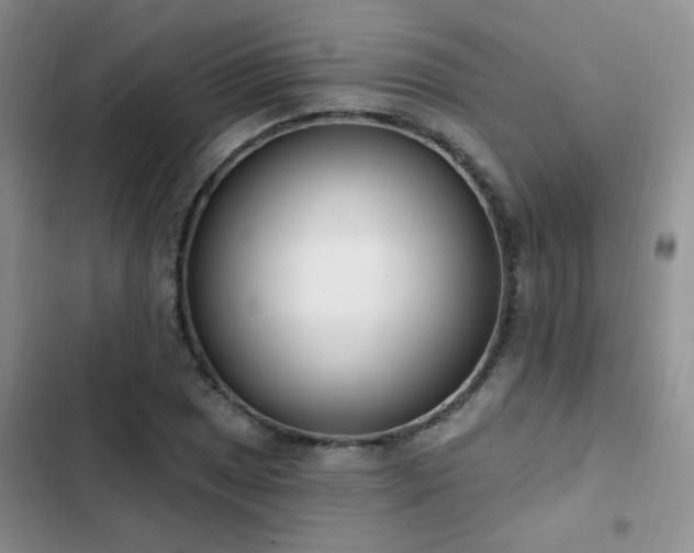 X0000103231025200808281426