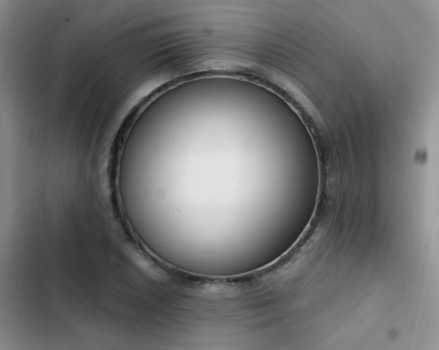 X0000103231026200808281426