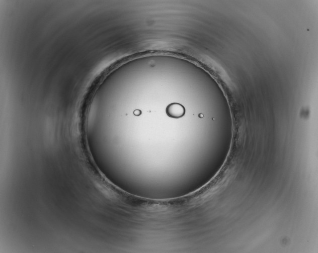 X0000103231027200808281426