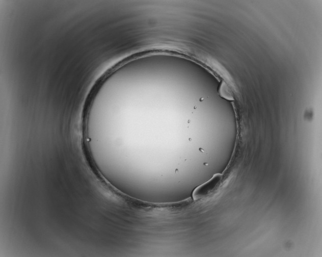 X0000103231028200808281426