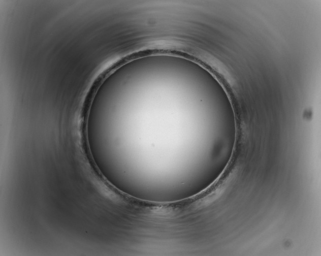 X0000103231029200808281426