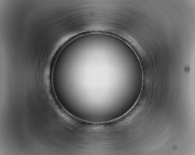 X0000103231030200808281426