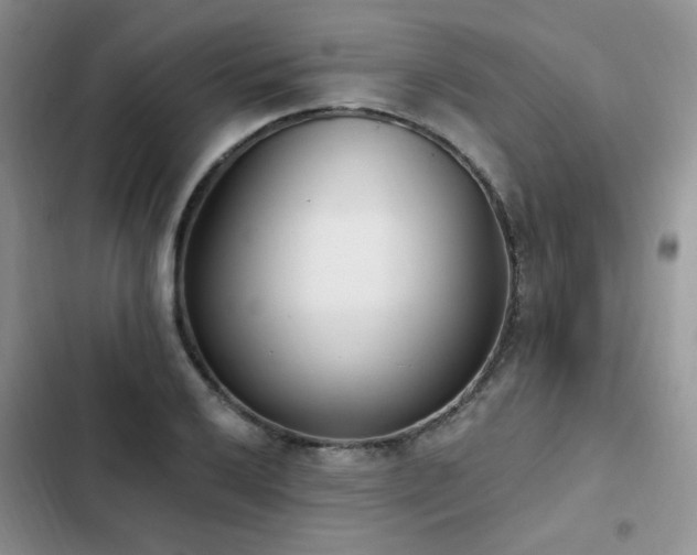 X0000103231032200808281426