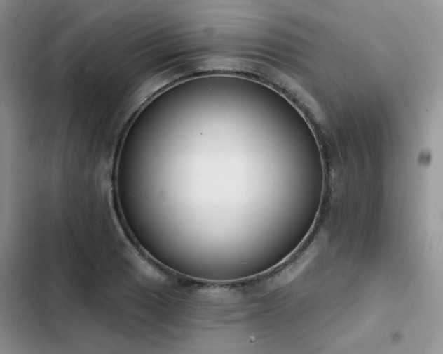 X0000103231033200808281426