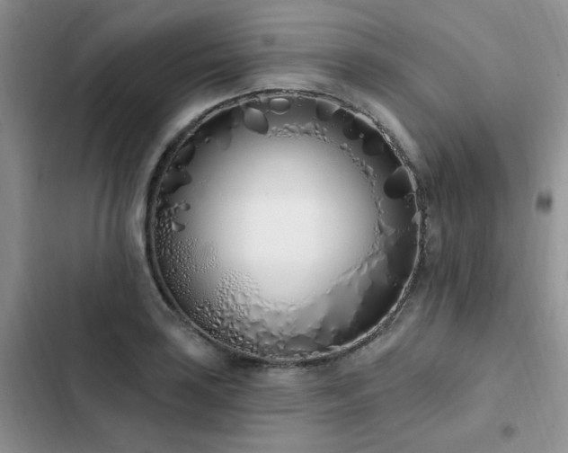 X0000103231035200808281426