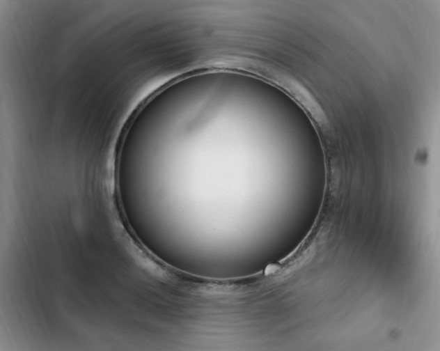 X0000103231036200808281426