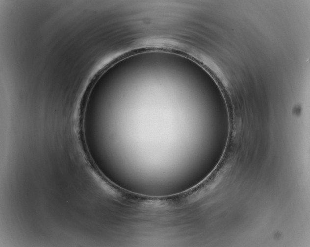 X0000103231037200808281426