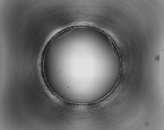 X0000103231038200808281426
