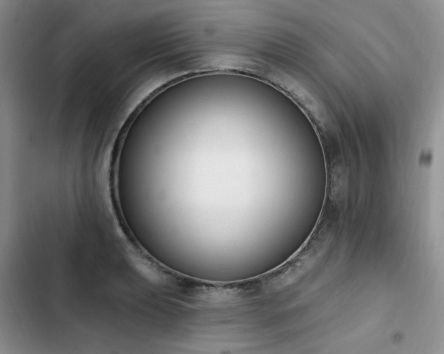 X0000103231039200808281426