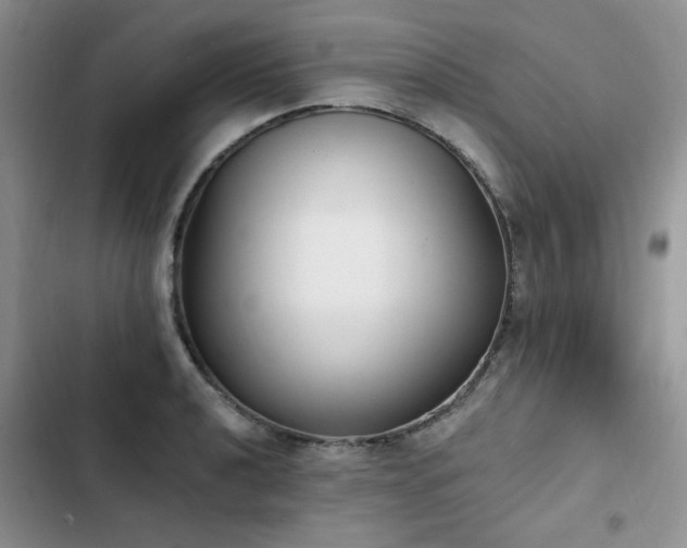X0000103231040200808281426