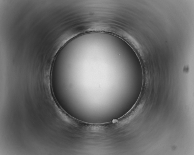 X0000103231041200808281426