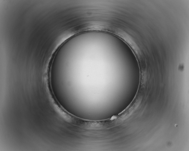 X0000103231042200808281426
