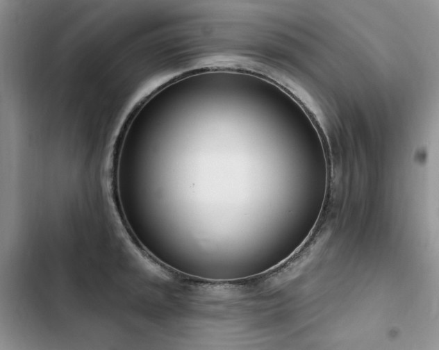 X0000103231045200808281426