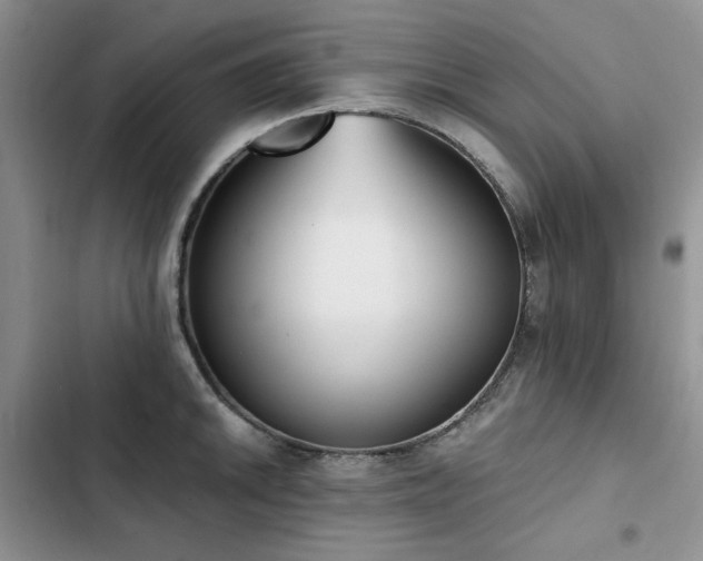 X0000103231046200808281426