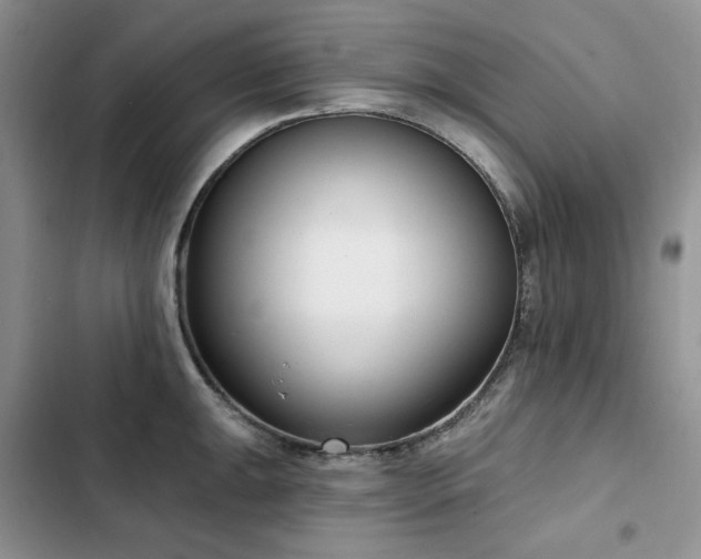 X0000103231047200808281426