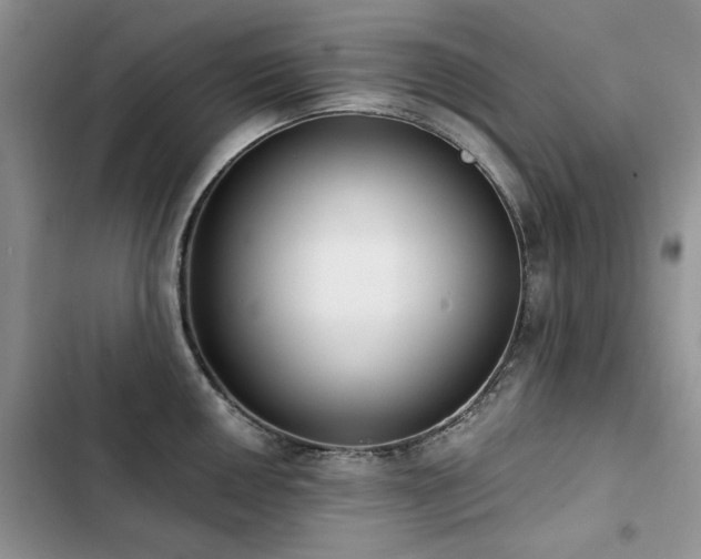 X0000103231050200808281426