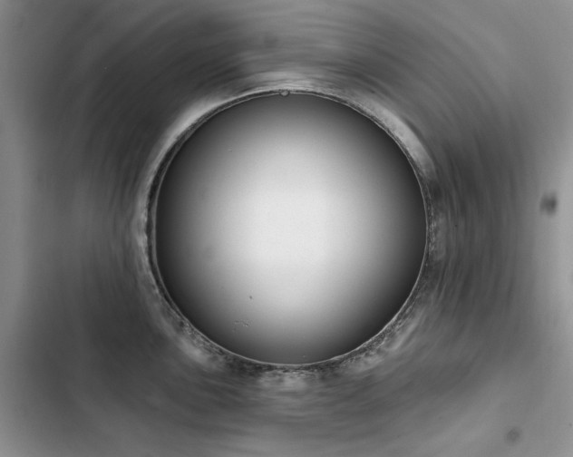 X0000103231051200808281426