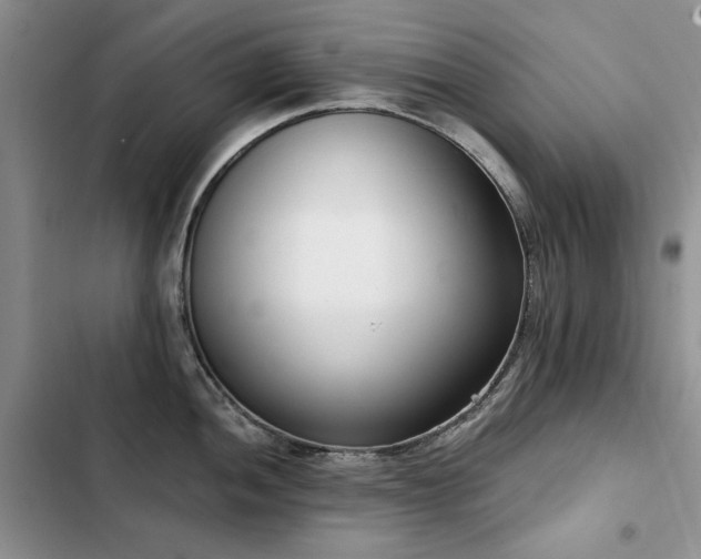 X0000103231052200808281426
