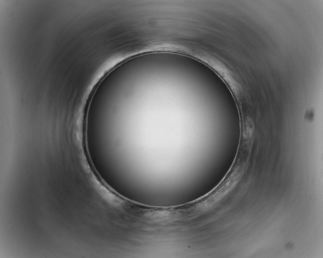 X0000103231054200808281426