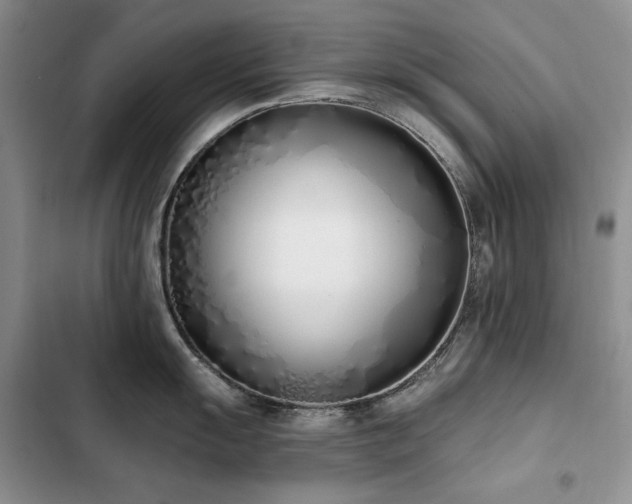 X0000103231055200808281426