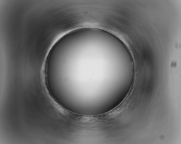 X0000103231056200808281426