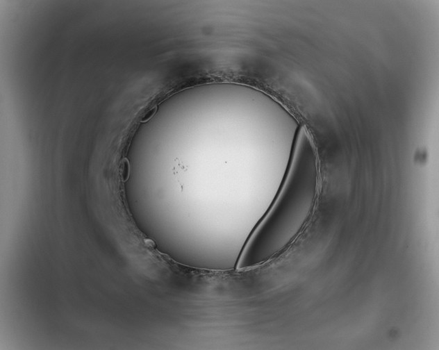 X0000103231057200808281425