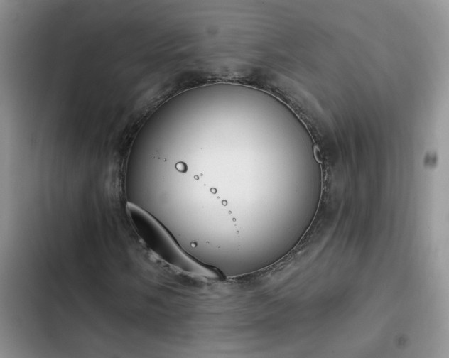 X0000103231058200808281425