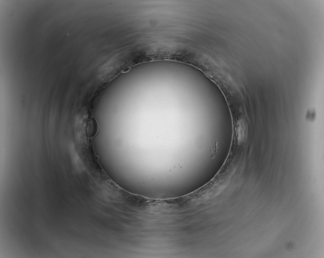 X0000103231059200808281425